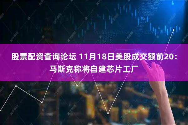 股票配资查询论坛 11月18日美股成交额前20：马斯克称将自建芯片工厂