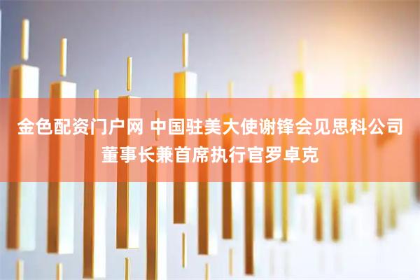 金色配资门户网 中国驻美大使谢锋会见思科公司董事长兼首席执行官罗卓克